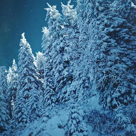 Nest Milmari Apartmán *