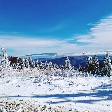Apartment Nest Milmari Kopaonik