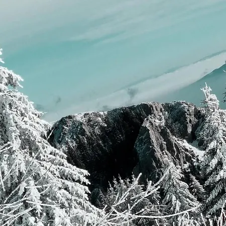 Nest Milmari Apartmán Kopaonik