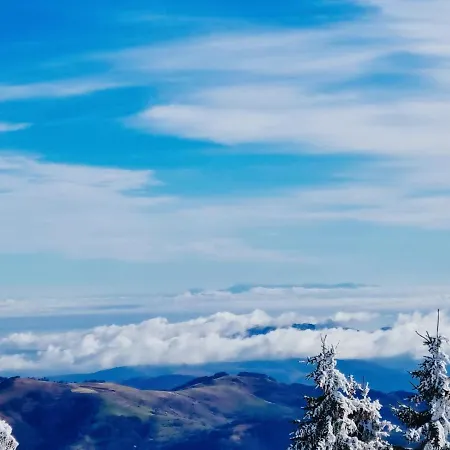 Nest Milmari דירה