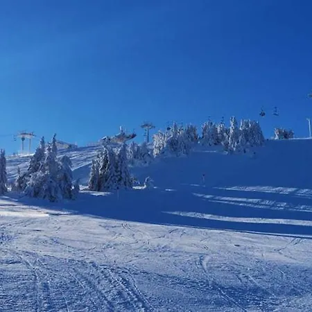 Nest Milmari Kopaonik