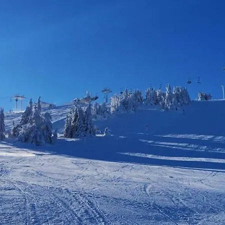 Nest Milmari Kopaonik